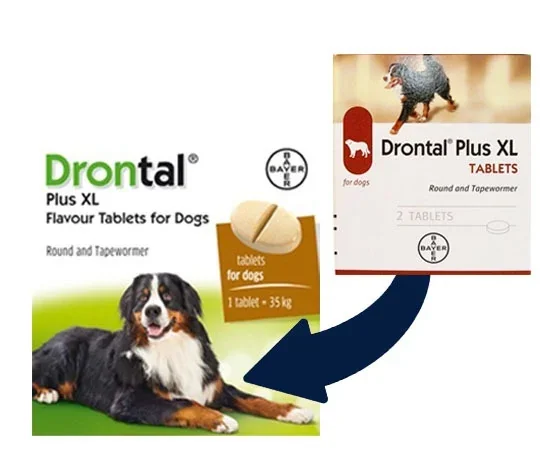 Drontal Plus XL, 1 tableta