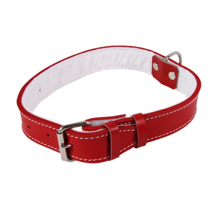 Zgarda Piele Tip 18 (45 Cm 18 Mm) Cu Pasla - Rosu