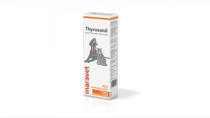 Thyroxanil 600 μg, 100 comprimate
