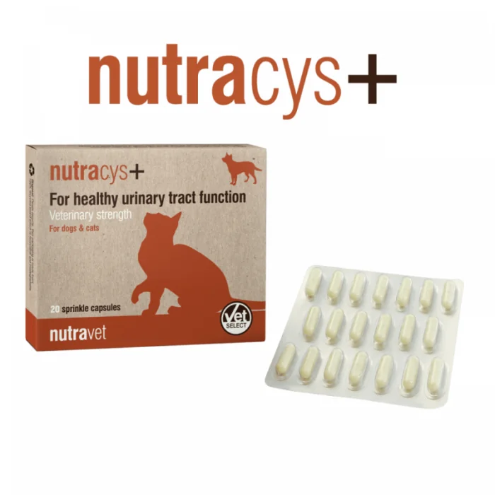 Nutravet Nutracys+ (Nutraease) 20 cps - caini si pisici