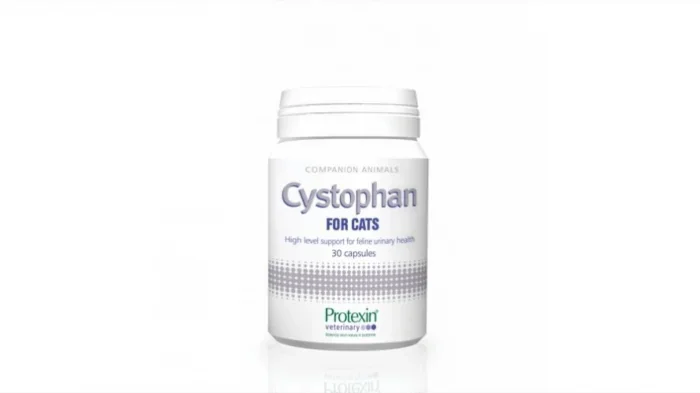 CYSTOPHAN pentru cats pisici - 240 capsule