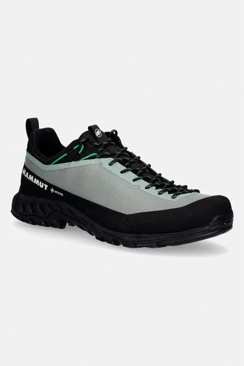 Mammut pantofi de trekking bărbați Alnasca IV Low GTX