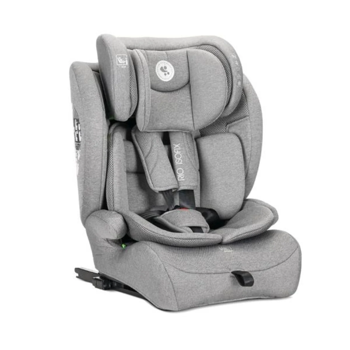 Scaun auto, Lorelli Rio, Isofix cu Top Tether, I-Size, 76-150 cm, Grey