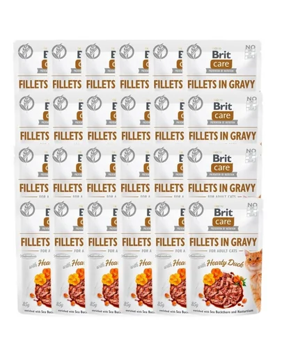 BRIT Care Fillets in gravy Set hrana umeda pentru pisici, cu rata in sos 24 x 85 g