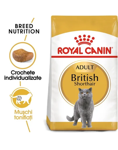 Royal Canin British Shorthair Adult hrana uscata pisica 10 kg + hrana umeda 12x85g