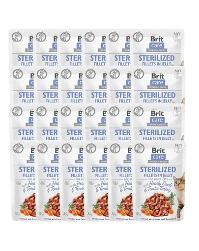 BRIT Care Sterilized Fillets in Jelly Set hrana umeda pentru pisici sterilizate, cu rata si curcan 24 x 85 g