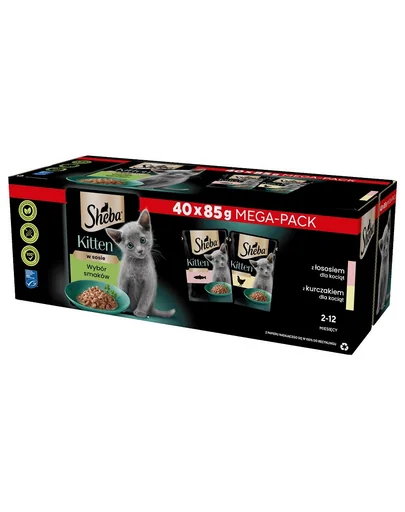 SHEBA Kitten Hrana umeda pentru pisoi 40x85 g cu somon si pui in sos