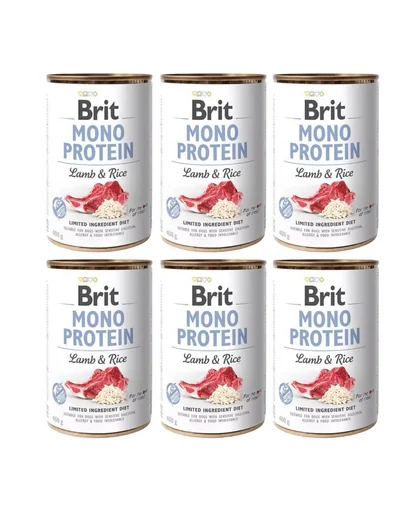 BRIT Mono Protein Lamb &amp; Rice 6x400 g miel si orez, hrana monoproteina caini