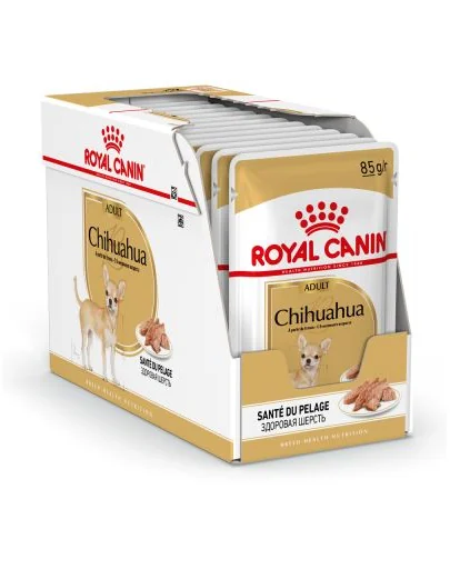 ROYAL CANIN Chihuahua Adult 4x12x85g hrană umedă special pentru câini Chihuahua adulți