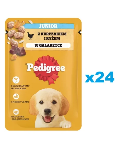 PEDIGREE Junior 24x100g Hrana umeda cu pui si orez pentru catei