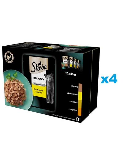 SHEBA Delicacy pachet plicuri 48x85 g hrana umeda pisici adulte, carne de pasare in aspic