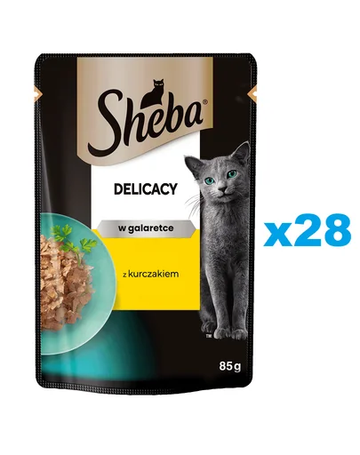SHEBA Delicacy pui in aspic 28x85 g hrana pisici adulte