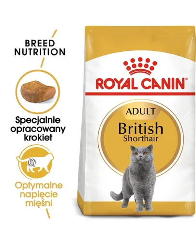 ROYAL CANIN British Shorthair 3 x 400 g hrana uscata pisica British