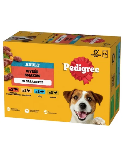 PEDIGREE Adult 12x100 g hrana umeda caini adulti, in gelatina
