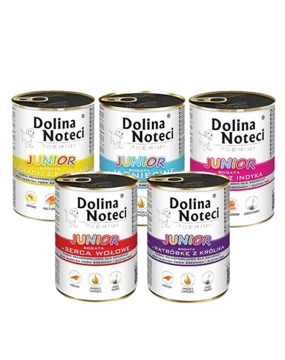 DOLINA NOTECI Junior Premium pachete conserve catei 24x400g mix arome