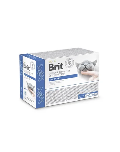 BRIT Veterinary Diet Grain Free Recovery fileuri în sos cu somon pentru pisici, 12x85g