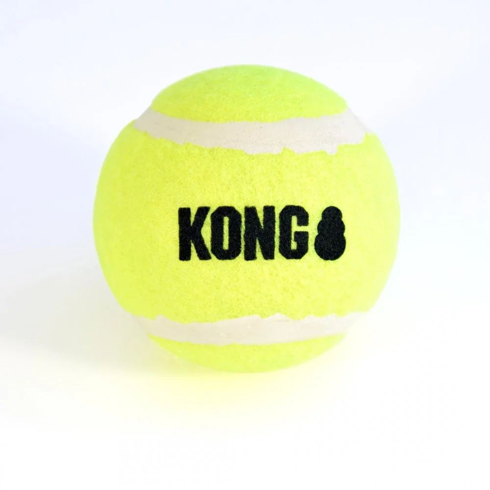 KONG HandiPod