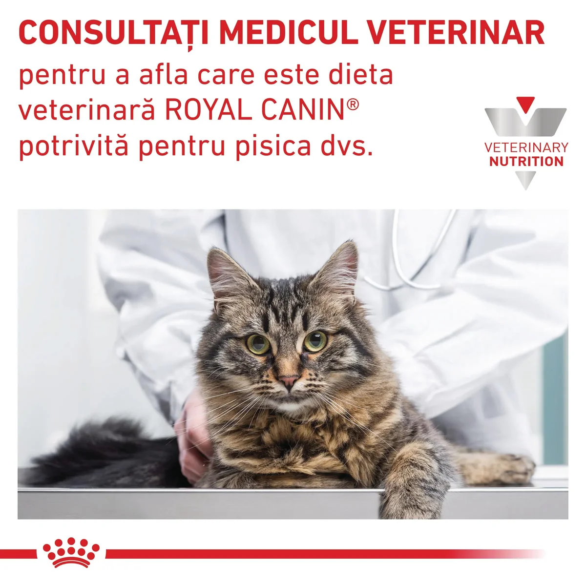 ROYAL CANIN VD Gastrointestinal, dietă veterinară, hrană uscată pisici, sistem digestiv, 400g