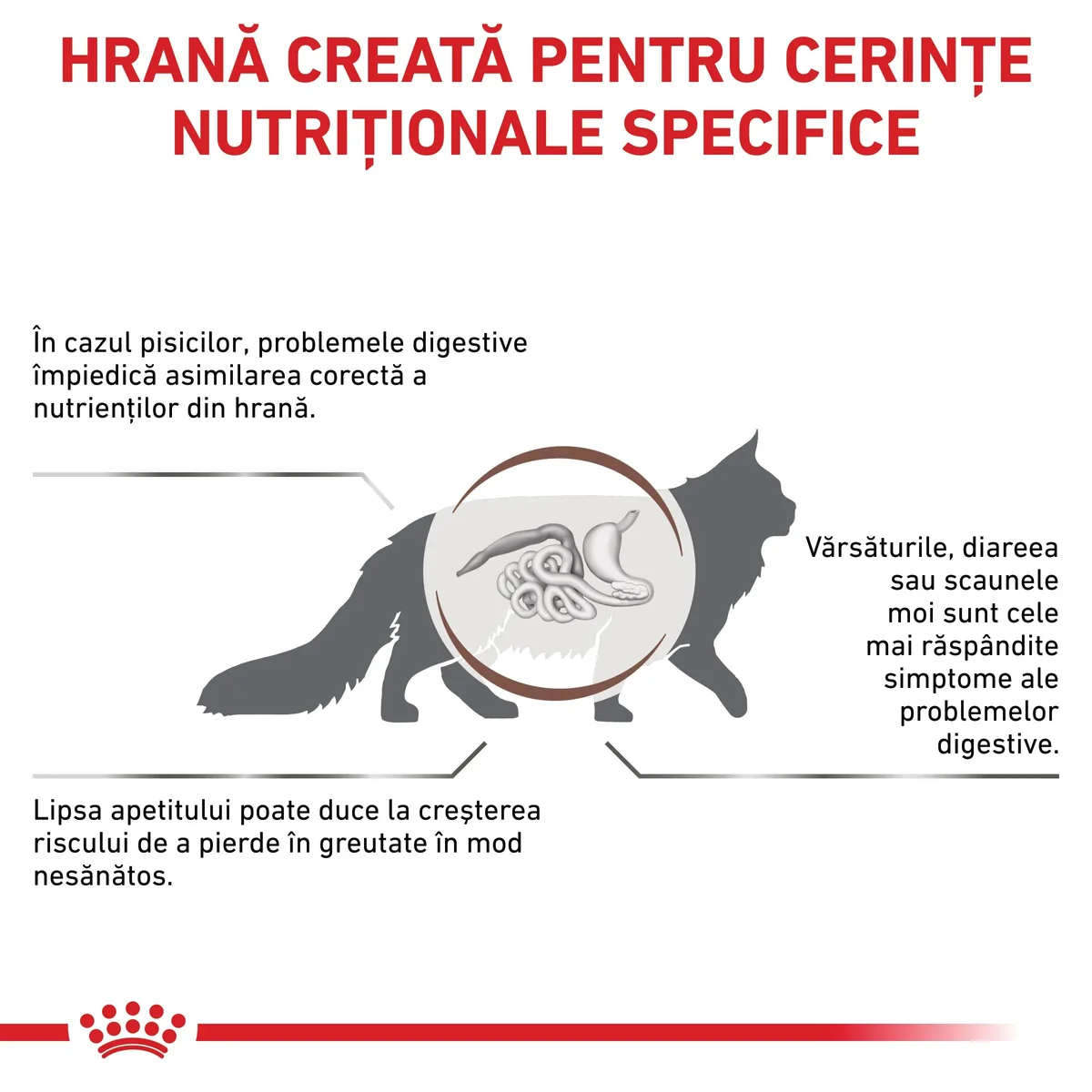 ROYAL CANIN VD Gastrointestinal, dietă veterinară, hrană uscată pisici, sistem digestiv, 400g