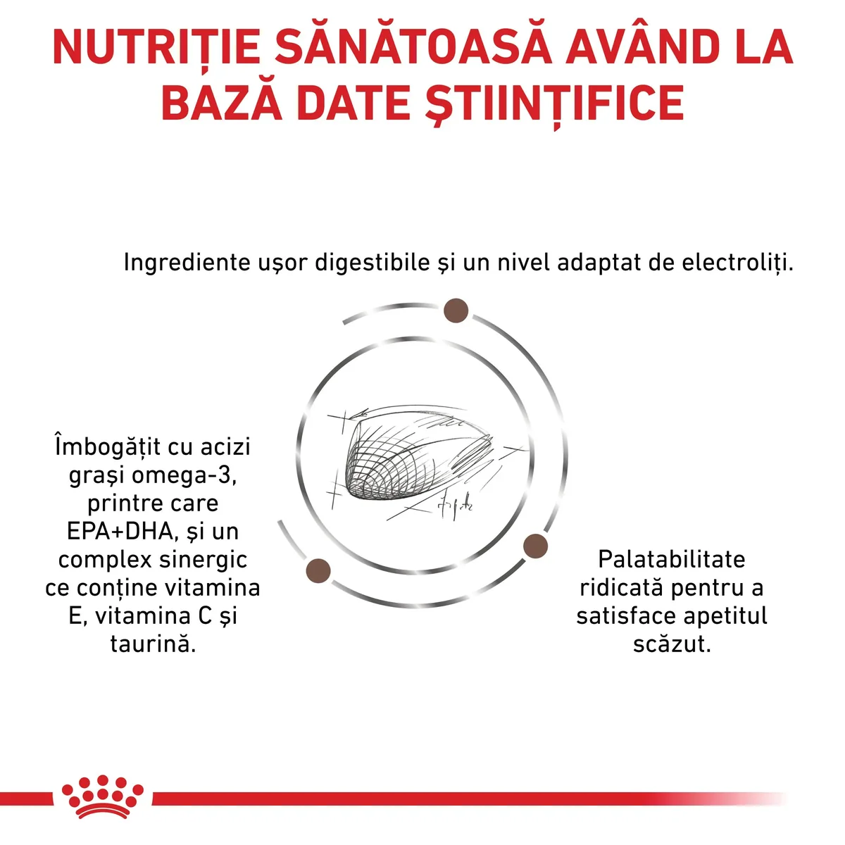 ROYAL CANIN VD Gastrointestinal, dietă veterinară, hrană uscată pisici, sistem digestiv, 2kg