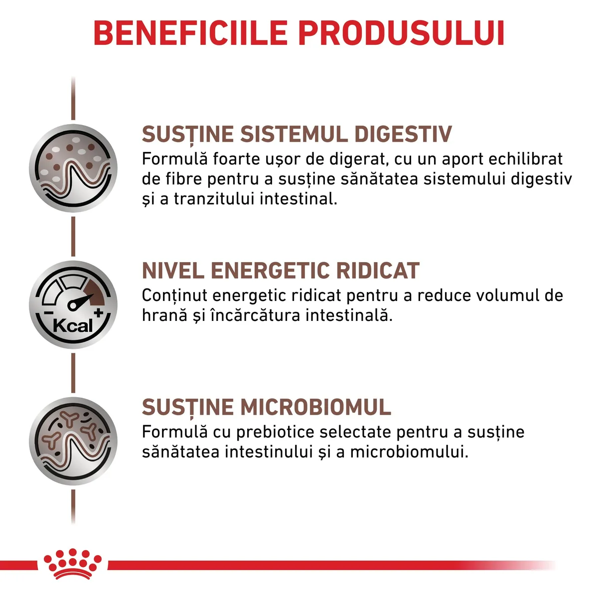 ROYAL CANIN VD Gastrointestinal, dietă veterinară, hrană uscată pisici, sistem digestiv, 2kg