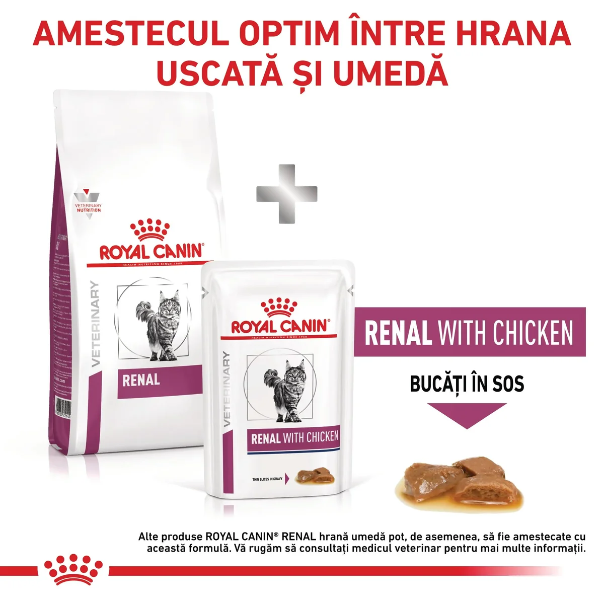 ROYAL CANIN VD Renal, dietă veterinară, hrană uscată pisici, sistem renal, 4kg
