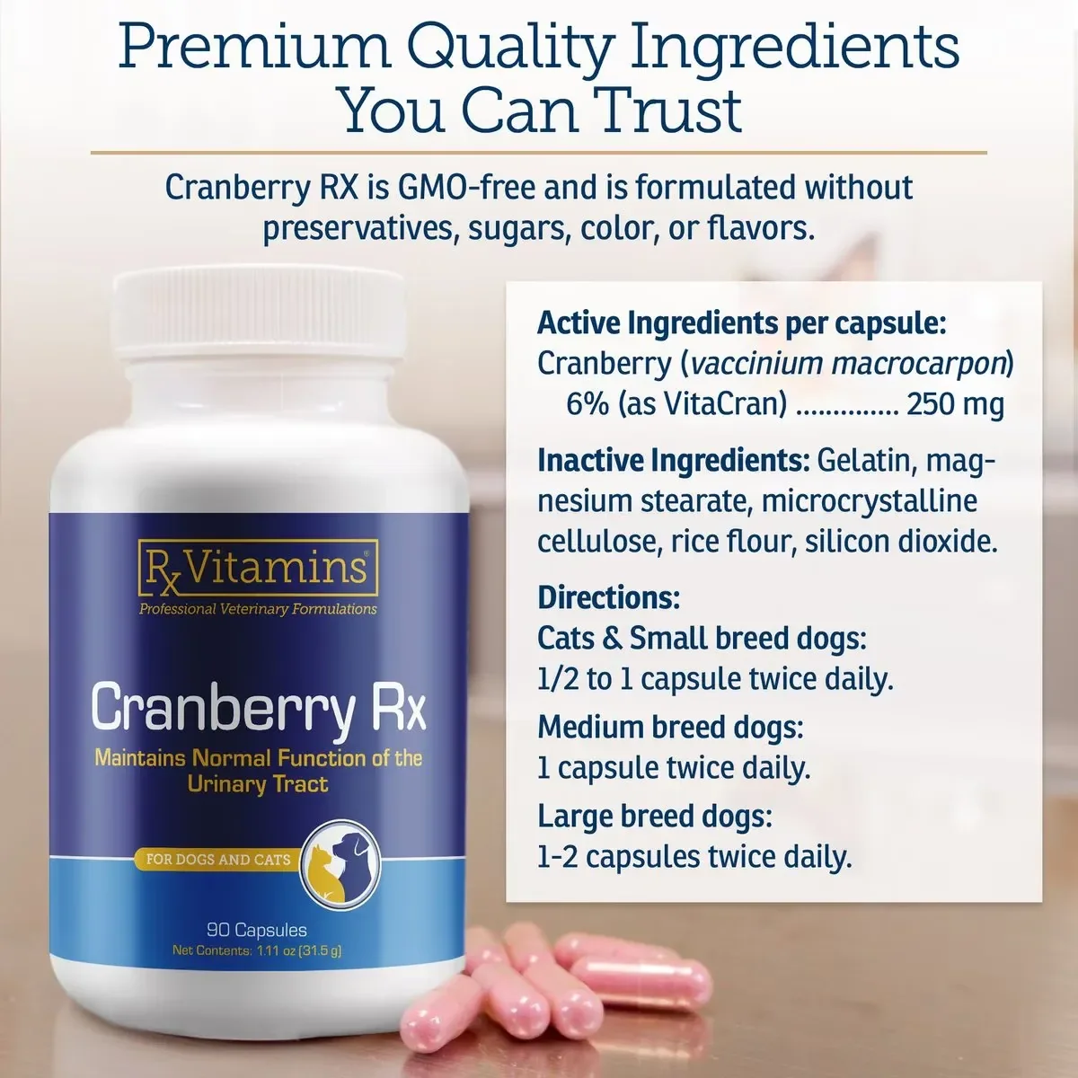 RX VITAMINS Cranberry, supliment sistem urinar câini, capsule RX VITAMINS Cranberry, supliment sistem urinar câini și pisici, flacon, 90 capsule