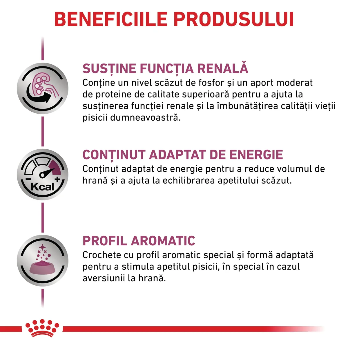 ROYAL CANIN VD Renal, dietă veterinară, hrană uscată pisici, sistem renal, 400g