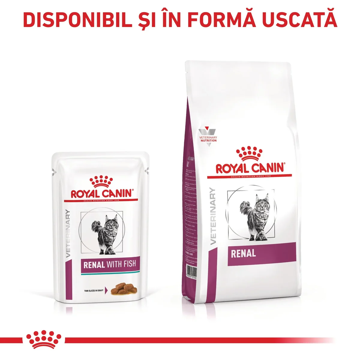 ROYAL CANIN VD Renal, Pește, dietă veterinară, plic hrană umedă pisici, sistem renal, (în sos), bax, 85g x 12buc