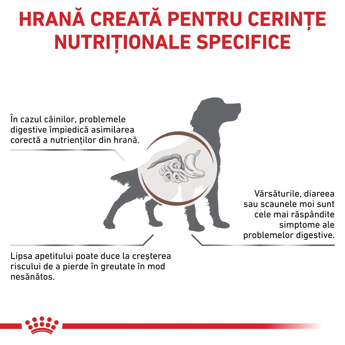 ROYAL CANIN VD Gastrointestinal, M-XL, dietă veterinară, hrană uscată câini, sistem digestiv, 2kg
