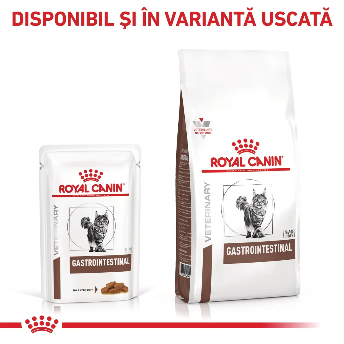 ROYAL CANIN VD Gastrointestinal, dietă veterinară, plic hrană umedă pisici, sistem digestiv, (în sos), bax, 85g x 12buc