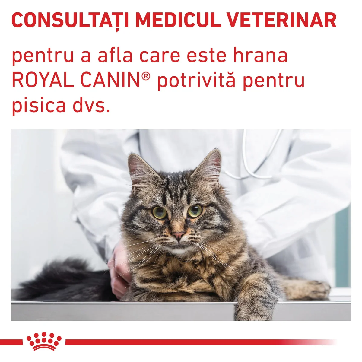 ROYAL CANIN VD Neutered Satiety Balance, dietă veterinară, hrană uscată pisici, managementul greutății, 3.5kg