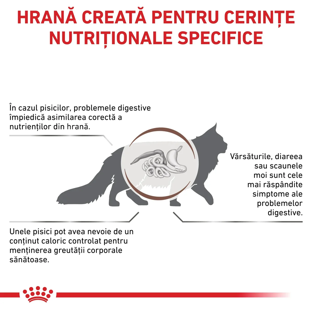 ROYAL CANIN VD Gastrointestinal Moderate Calorie, dietă veterinară, hrană uscată pisici, sistem digestiv, 2kg