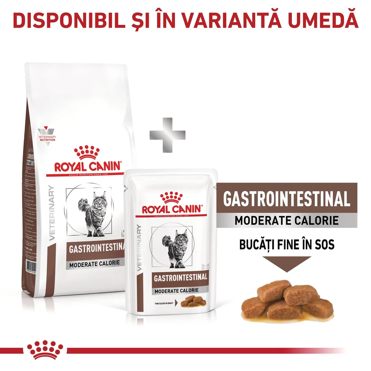 ROYAL CANIN VD Gastrointestinal Moderate Calorie, dietă veterinară, hrană uscată pisici, sistem digestiv, 4kg