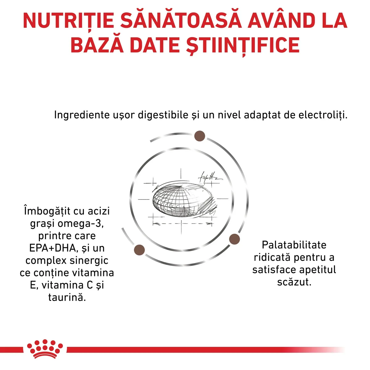 ROYAL CANIN VD Gastrointestinal Moderate Calorie, dietă veterinară, hrană uscată pisici, sistem digestiv, 4kg