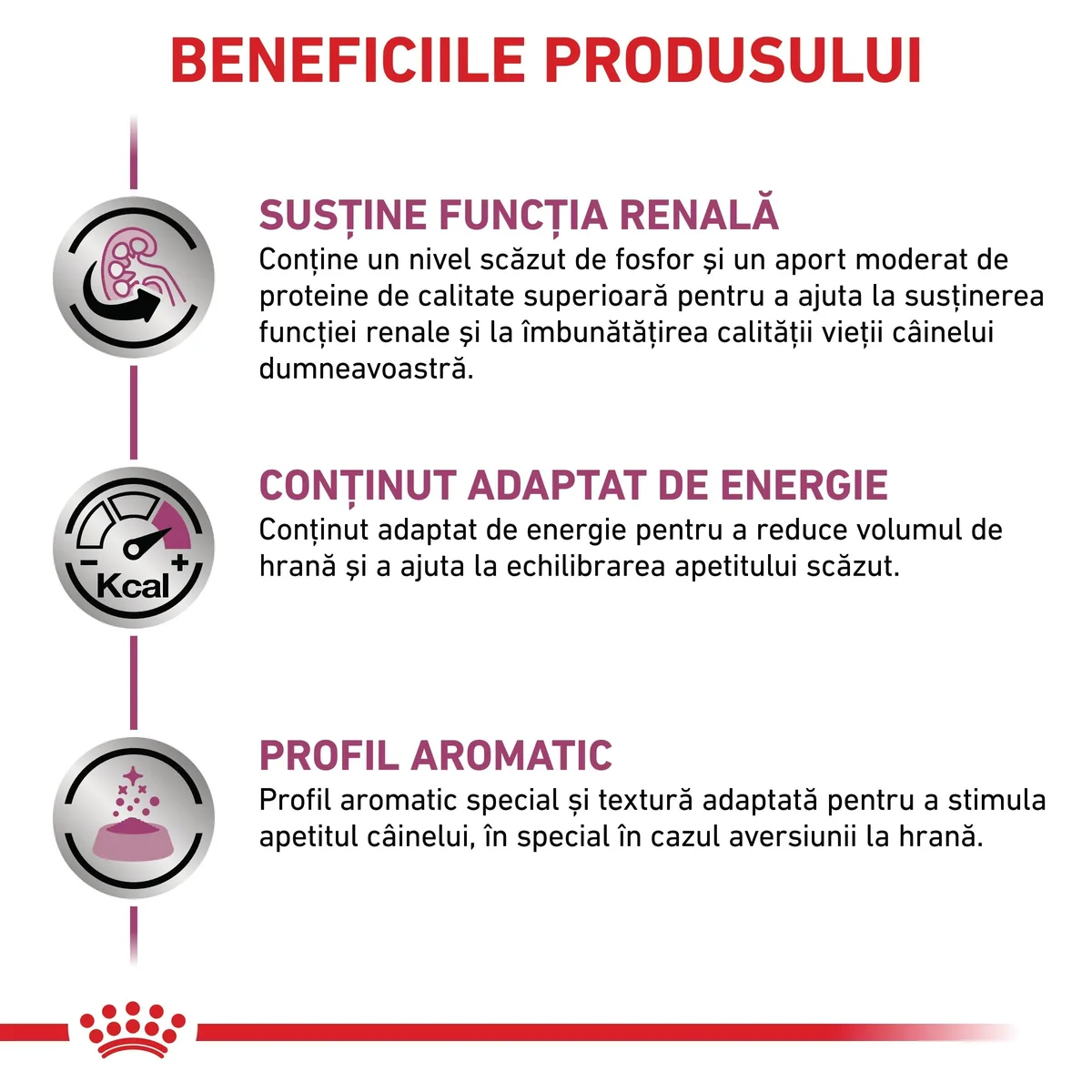 ROYAL CANIN VD Renal, XS-XL, dietă veterinară, conservă hrană umedă câini, sistem renal, (pate), 410g