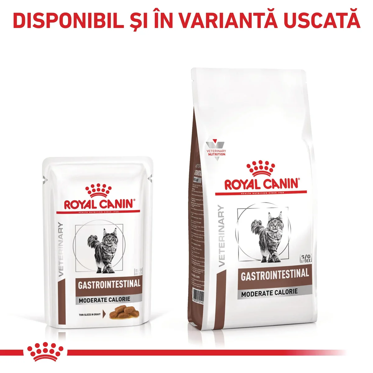 ROYAL CANIN VD Gastrointestinal Moderate Calorie, dietă veterinară, plic hrană umedă pisici, sistem digestiv, (în sos), bax, 85g x 12buc