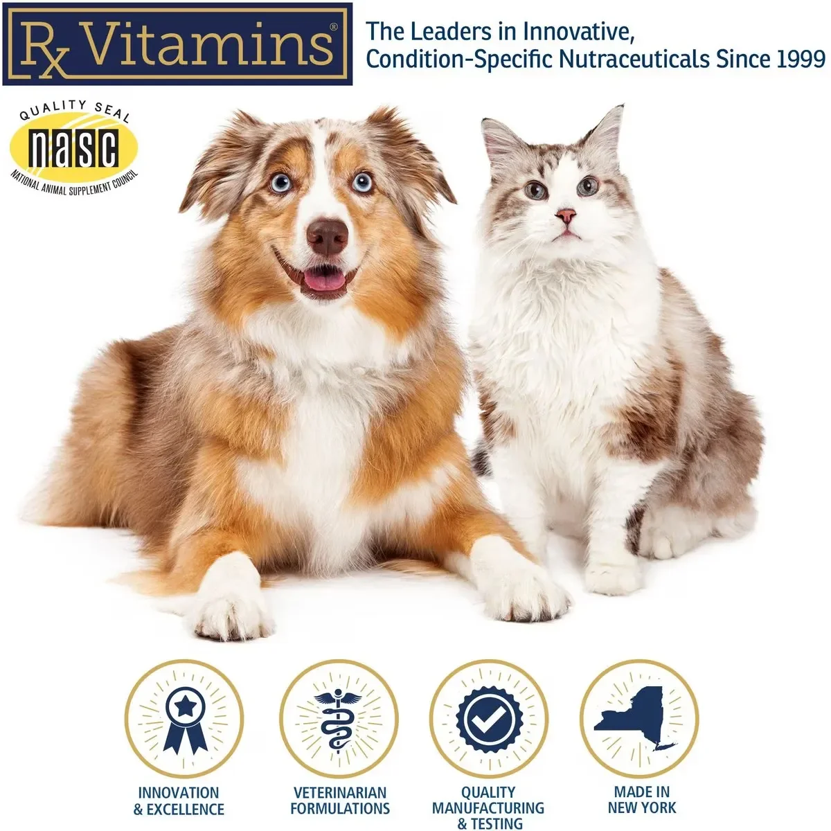 RX VITAMINS Immuno Support, supliment sistem imunitar câini, capsule RX VITAMINS Immuno Support, supliment sistem imunitar câini și pisici, flacon, 60 capsule