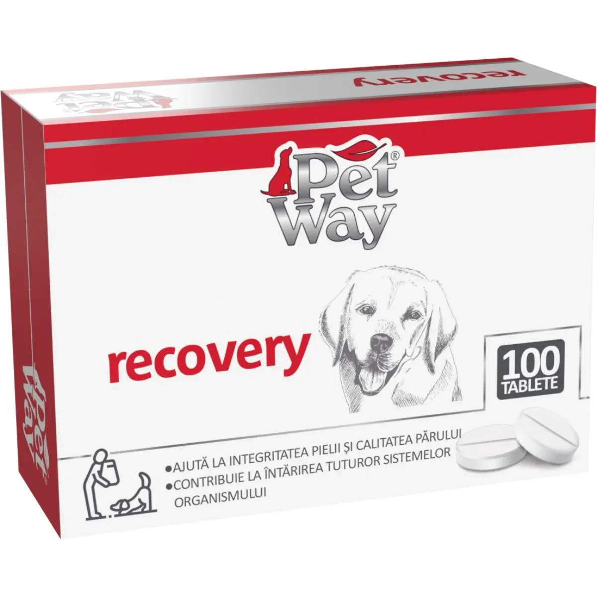 PETWAY Recovery, XS-XL, supliment convalescență câini, cutie, 100 comprimate