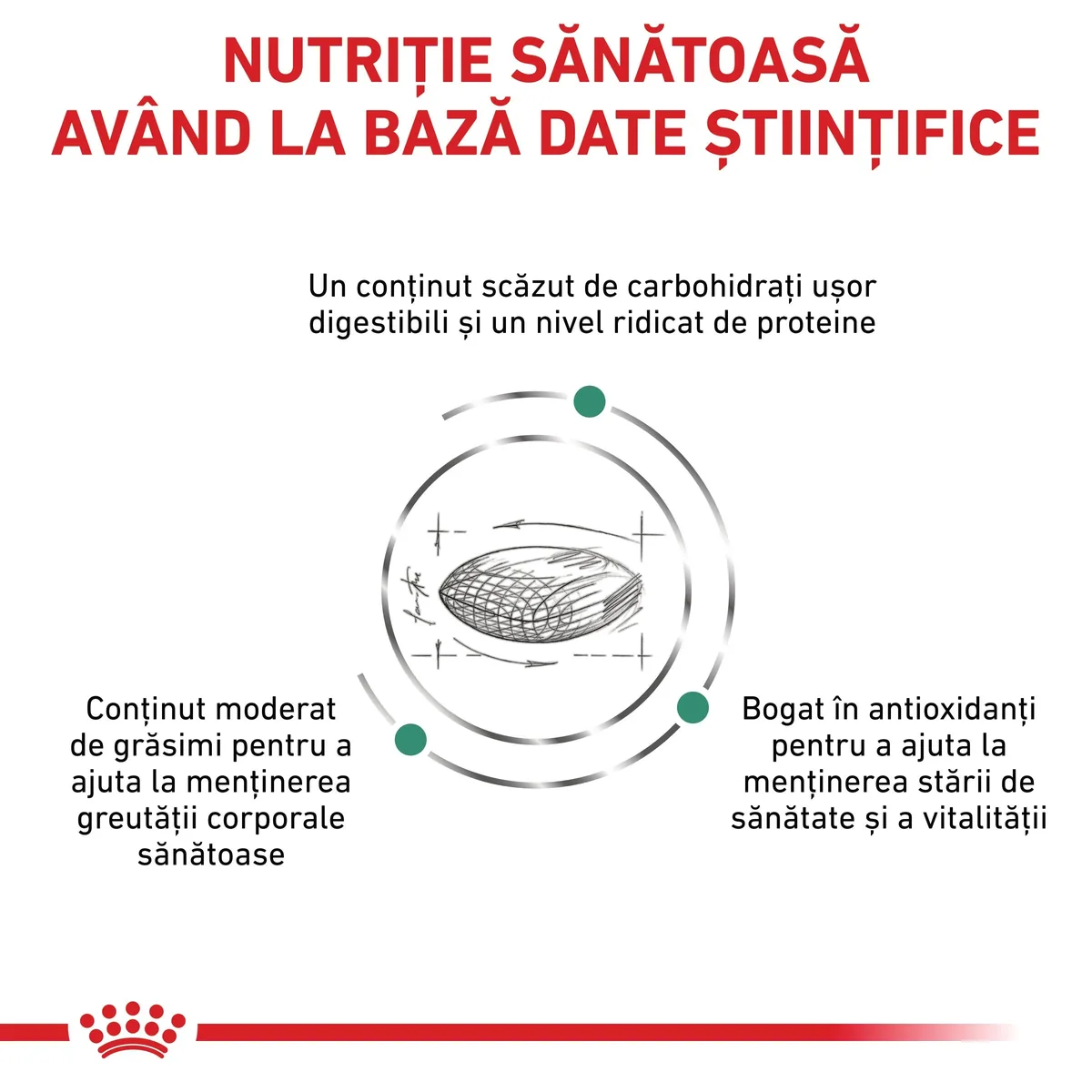 ROYAL CANIN VD Diabetic, dietă veterinară, hrană uscată pisici, diabet, 1.5kg