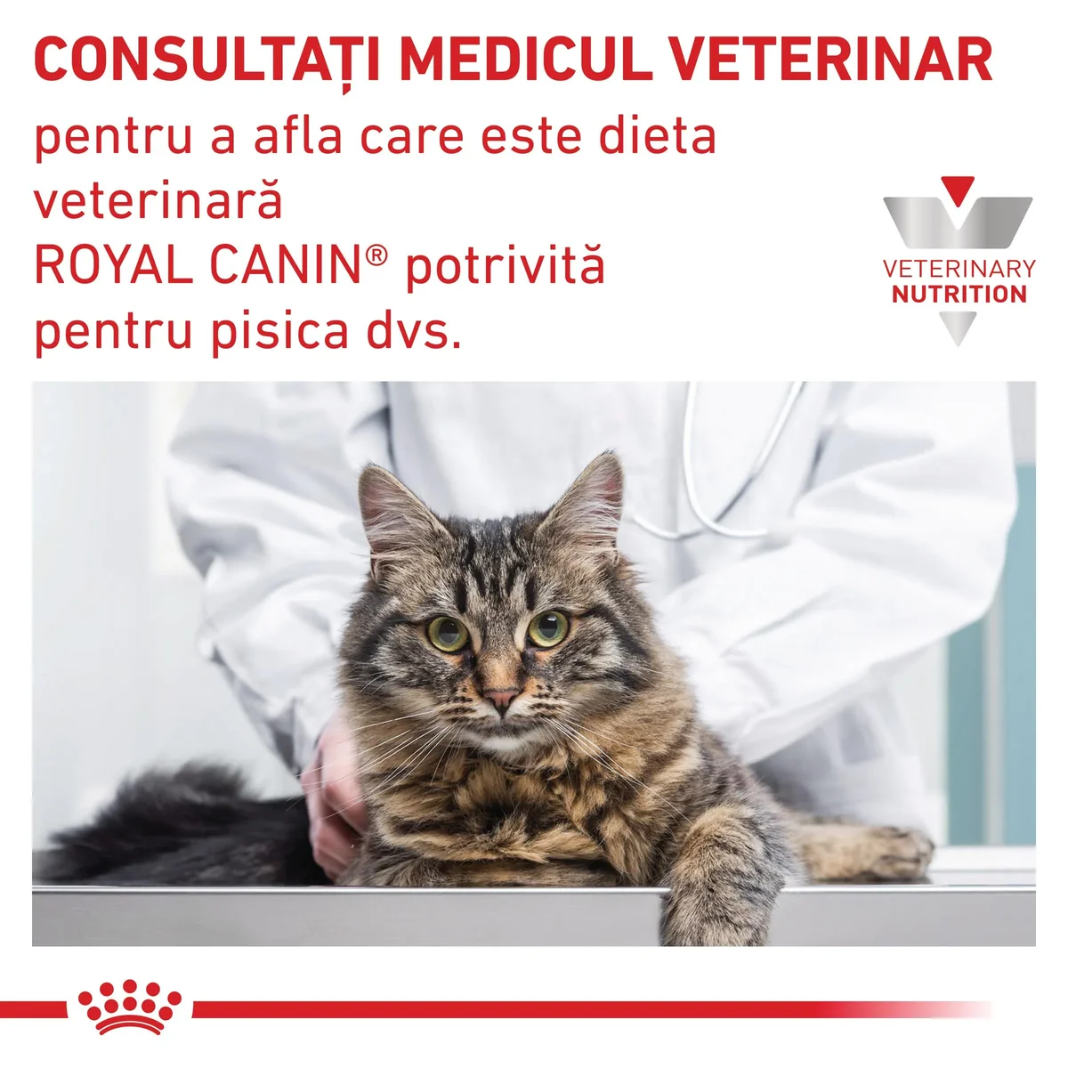 ROYAL CANIN VD Diabetic, dietă veterinară, hrană uscată pisici, diabet, 3.5kg