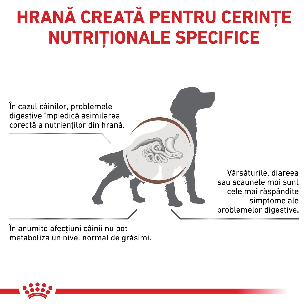 ROYAL CANIN VD Gastrointestinal Low Fat, XS-XL, dietă veterinară, conservă hrană umedă câini, sistem digestiv, (pate), 420g
