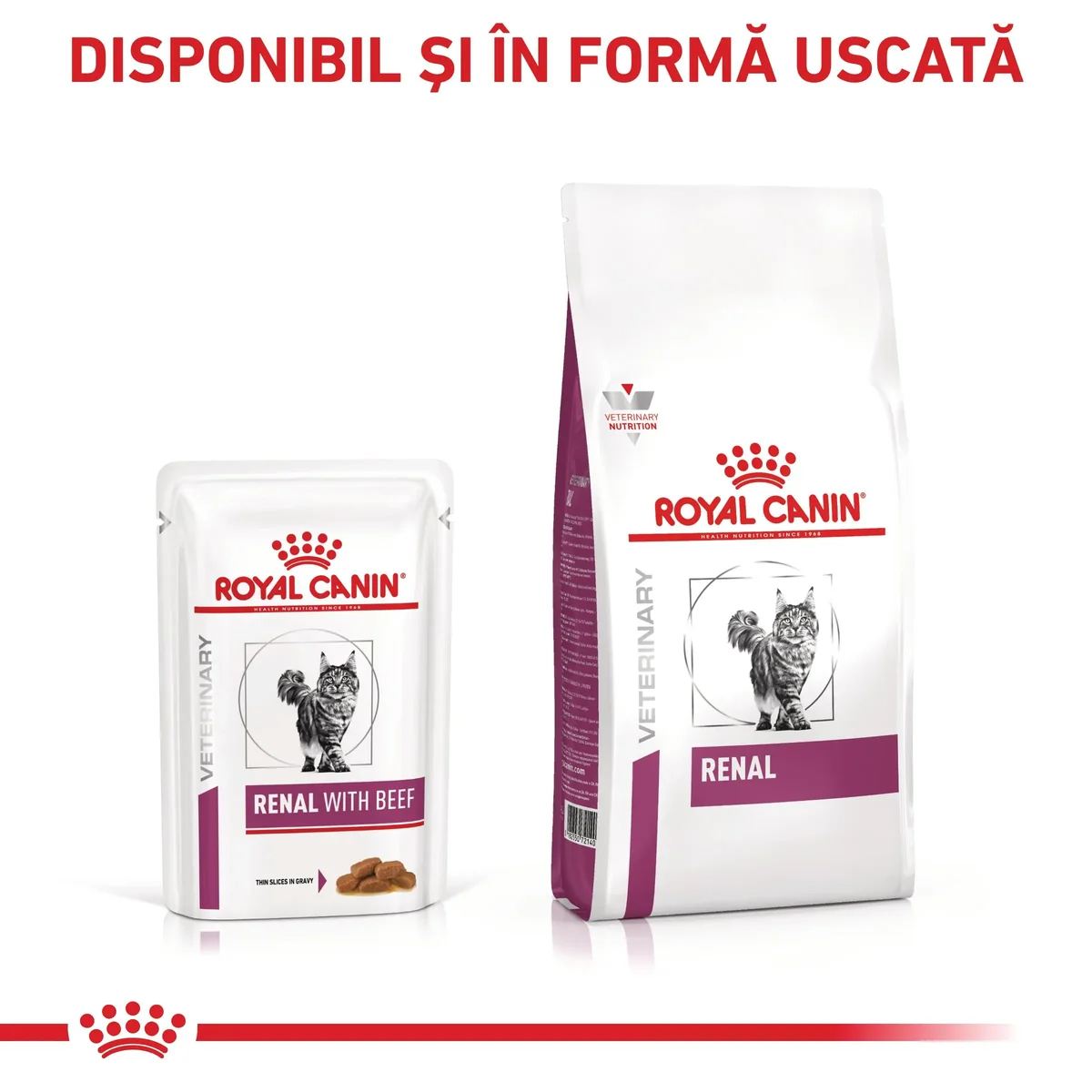 ROYAL CANIN VD Renal, Vită, dietă veterinară, plic hrană umedă pisici, sistem renal, (în sos), bax, 85g x 12buc
