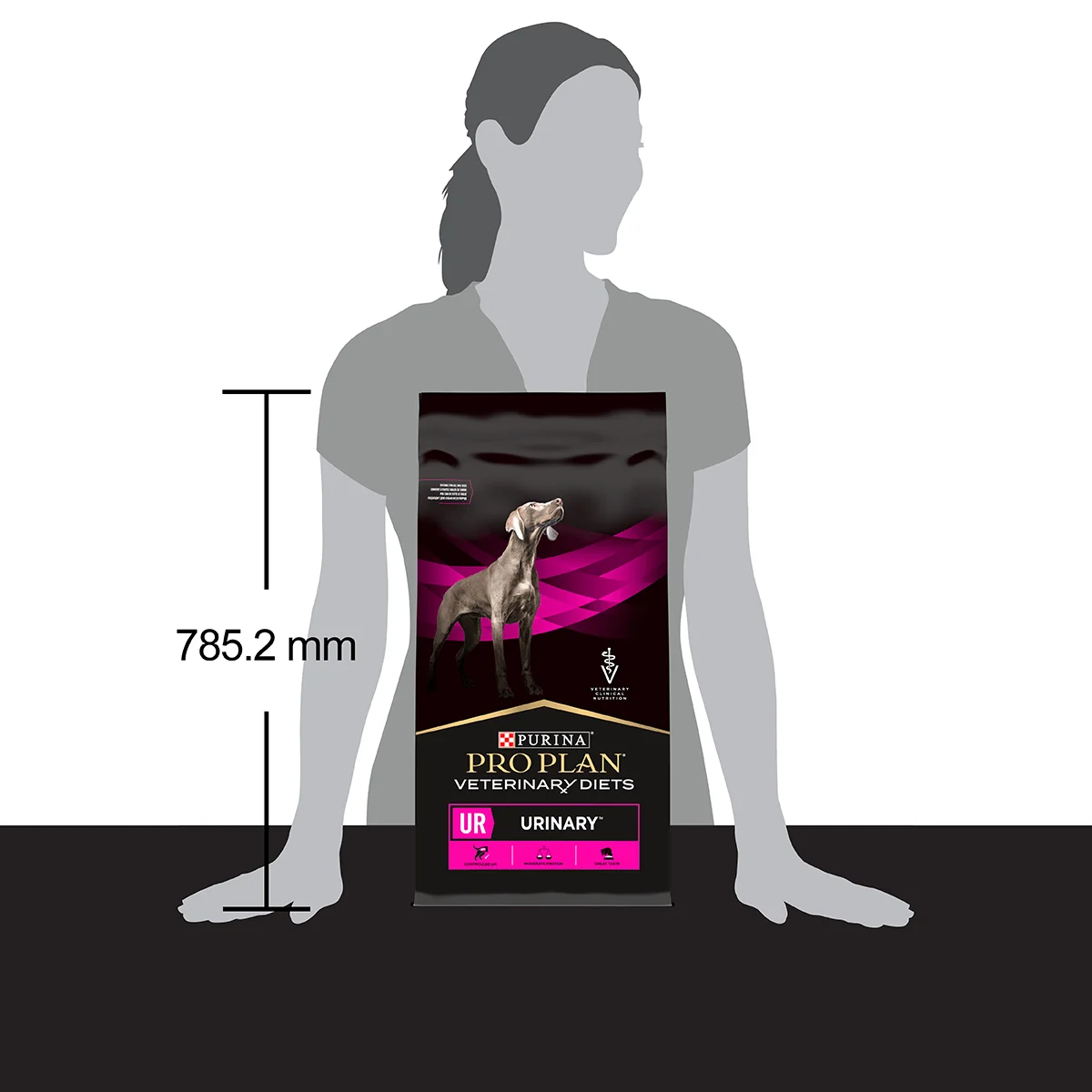 PURINA Pro Plan Veterinary Diets Urinary, dietă veterinară câini, hrană uscată, afecțiuni urinare, 12kg