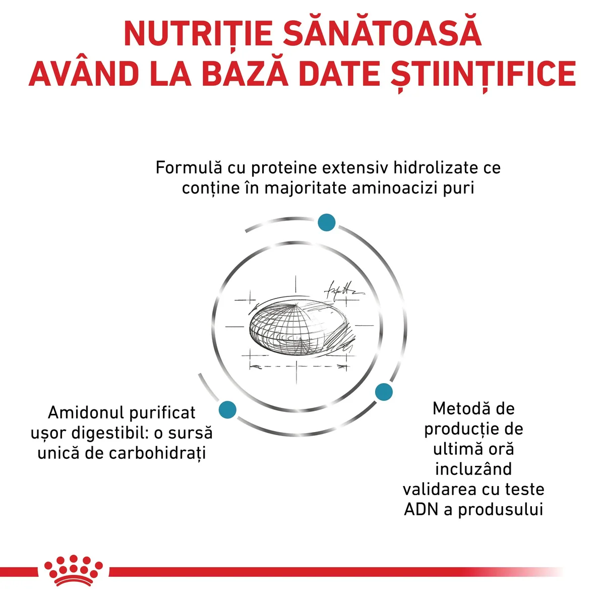 ROYAL CANIN VD Anallergenic, dietă veterinară, hrană uscată pisici, alergii, 4kg