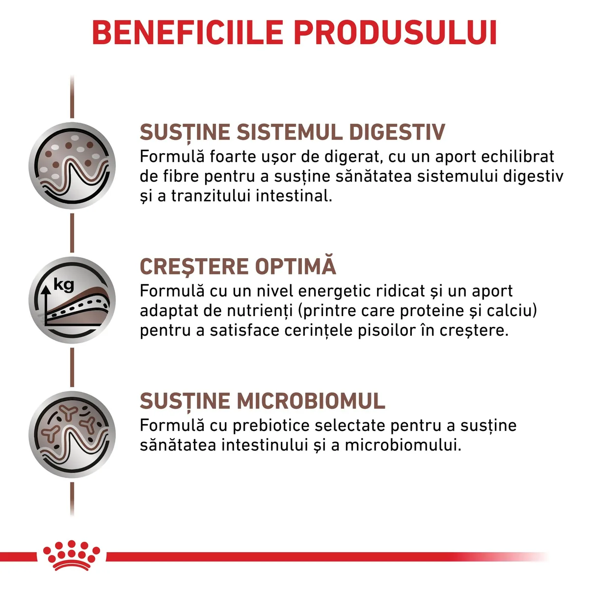 ROYAL CANIN VD Gastrointestinal Kitten, dietă veterinară, hrană uscată pisici junior, sistem digestiv, 2kg