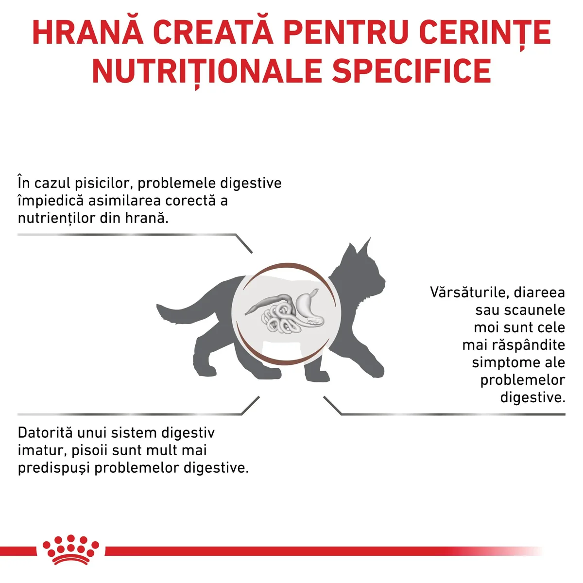 ROYAL CANIN VD Gastrointestinal Kitten, dietă veterinară, hrană uscată pisici junior, sistem digestiv, 2kg