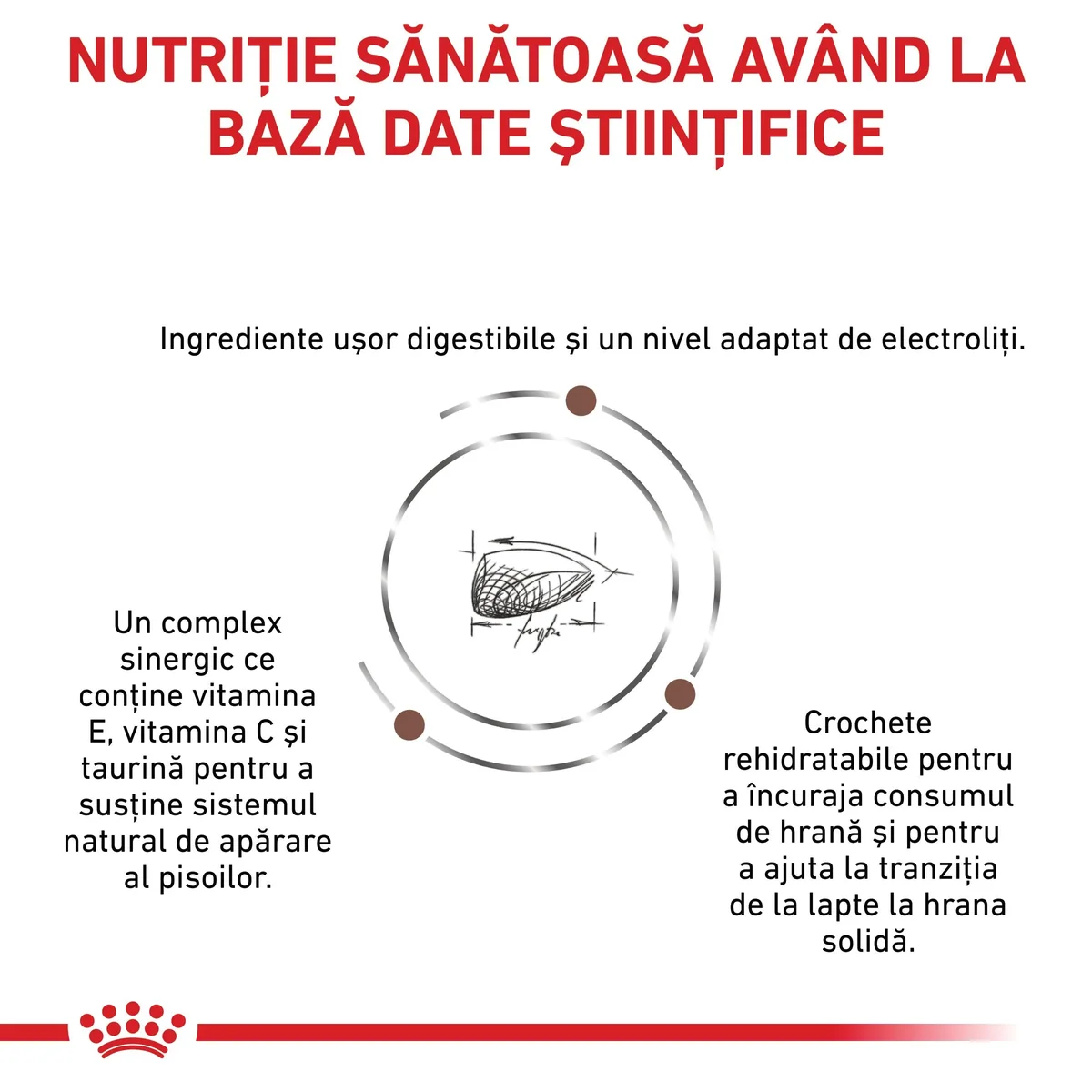 ROYAL CANIN VD Gastrointestinal Kitten, dietă veterinară, hrană uscată pisici junior, sistem digestiv, 2kg