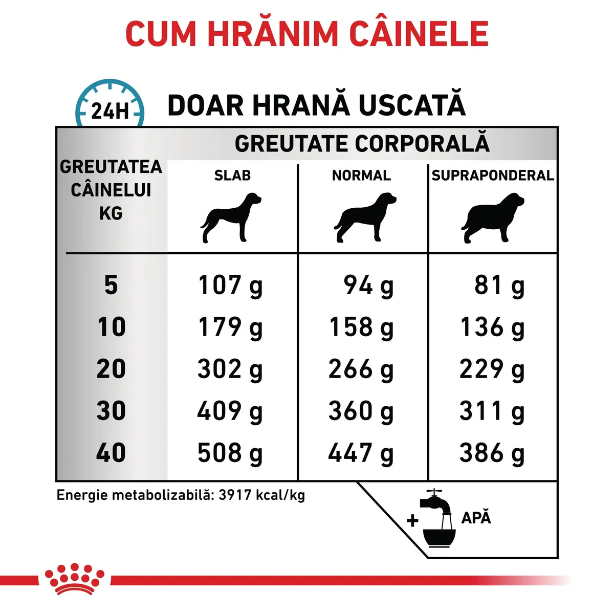 ROYAL CANIN VD Anallergenic, XS-XL, dietă veterinară, hrană uscată câini, alergii alimentare, 3kg