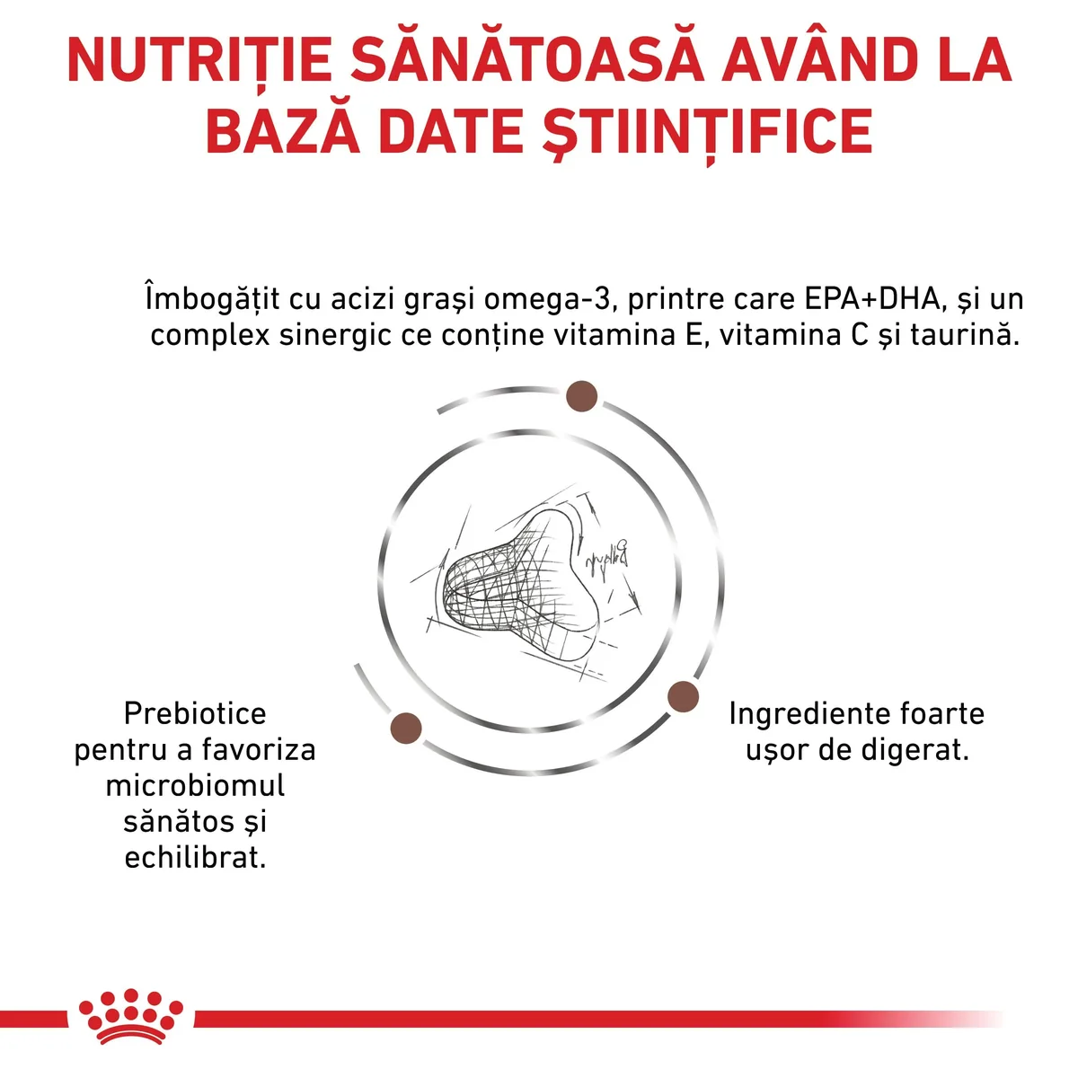 ROYAL CANIN VD Gastrointestinal Fibre Response, dietă veterinară, hrană uscată pisici, sistem digestiv, 4kg